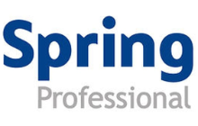 Spring Professional